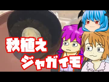 【秋植えジャガイモ①】ぼくも料理動画が作りたかった 下準備編