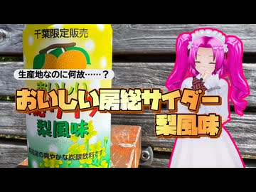 【ご当地サイダー】おいしい房総サイダー梨風味【ソフトウェアトーク劇場】