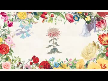 【低音女子が】バカみたいに/柿崎ユウタ【歌ってみた】