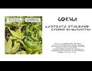 L'Artista Italiano - 40ena