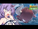 紲星のカービィ ディスカバリー！#21【星のカービィ ディスカバリー】