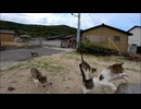 【猫島奇跡】ただ座っただけで猫に囲まれる男ｗｗｗ