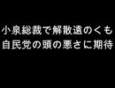 小泉総裁で解散遠のくも　自民党の頭の悪さに期待