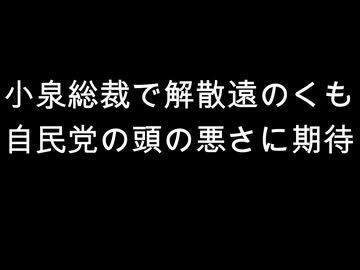 小泉総裁で解散遠のくも　自民党の頭の悪さに期待