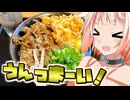【ARIA家鉄道旅行記】第九弾『そうパレ東京編』Part8