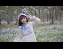 【茶るこ】春に一番近い街 踊ってみた【春】