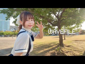 【うさきち】WAVEFILE fullver. 踊ってみた【3周年】