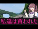 【Cevio車載】夏色花梨の中の人の誕生日【雑談車載】