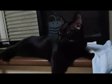 ねるまえのこま