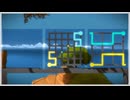 the witness