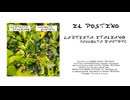 L'Artista Italiano - Il Postino