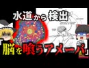 『水道から致〇率97％の原生生物』感染すればまず助からない「脳を喰うアメーバ」が発見される 長いパイプラインに溜まった古い水が原因？女児が脳4する例も【ゆっくり解説】