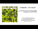 L'Artista Italiano - Canzone Metallo