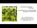 L'Artista Italiano - GhiriGhiriGori (Demo)