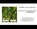 L'Artista Italiano - Canzone dei Ricordi