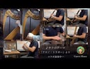 【ハープ×ウドゥ×笛】サラのテーマ『クロノ・トリガー』より