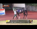 ＪＢＣ協会協賛 第10回西日本３歳優駿（モーニン賞）［西日本地区６県交流］（所属場デビュー馬） パドック～本馬場入場