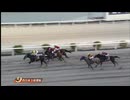 ＪＢＣ協会協賛 第10回西日本３歳優駿（モーニン賞）［西日本地区６県交流］（所属場デビュー馬） ラピドフィオーレ