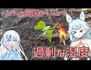 2025年9月8日　農作業日誌P1477　前回の続きとなる地域貢献から始まり、種まきへつなぐ