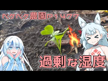 2025年9月8日　農作業日誌P1477　前回の続きとなる地域貢献から始まり、種まきへつなぐ