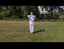 Yang Tai Chi 9 Form Kenko Kempo ヤンスタイル太極拳 九式｜剣光拳法ヴィトク流