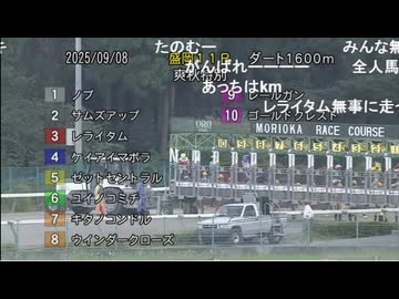 【リアルダビスタ】2025年9月8日 レライタム 19戦目　爽秋特別 Ａ(二)