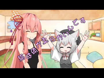 ことのはさんちの日常『猫は体が柔らかいんです』編【えーあいぼいす劇場】