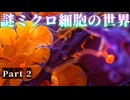 謎ミクロ細胞の世界 Part 2｜幻想世界を旅する