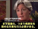 最新の調査による、幼児向けワクチンの製造材料　 報告では　コッカースパニエルの腎臓 　アフリカミドリザルやアカゲザルの臓器　ウサギの角膜　ブタの腎臓 　チャイニーズハムスターの卵巣　中絶胎児の肺細胞