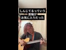 子猫koneko