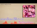 【ニコカラ】Eclipse Parade「Eclipse Parade」葉月ゆら