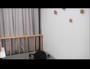 【生放送#33】首藤志奈のしゅきほーだいっ！（2025年9月　アーカイブ）