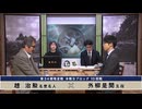 第34期 竜星戦 本戦Bブロック 10回戦 外柳是聞五段 vs 趙 治勲名誉名人