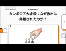 カンボジア大虐殺：なぜ救出は非難されたのか？