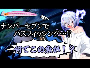 No.7がナンバーセブン117Fでブラックバスを狙うようです。【No.7の絶対に爆発しないフィッシング】