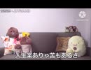 (省略キン(兄)がいなくなっちゃった...)