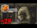 迫る顔【ヴァルキリープロファイル(2週目)】29