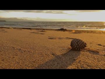 入り江の想い出／高嶋☆かずほ【オリジナル曲】