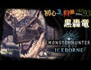 体が鎧玉でできてるドラゴン狩猟旅日記【MHW:IB】【PRAZOKS】