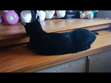 ねる向きを変えるこま