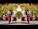 【ミラーぺんた】Allee【練習用】