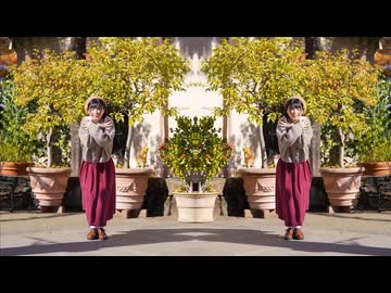 【ミラーぺんた】Allee【練習用】