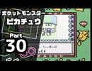【ポケットモンスターピカチュウ】殿堂入りを目指して Part30【トキワジム】