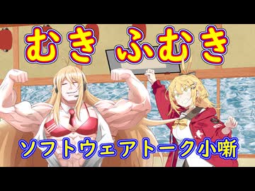 むきふむき【ソフトウェアトーク小噺】