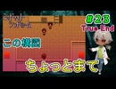 （ミッドナイトシンドローム ＃23）ぽんずの噂が流れる中、ぽんずがいなくなり。 【姦しくないホラー実況】【貧乏リッチのゲーム実況】