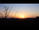 The shadow of the tree is reflected in the sunset. 国安鉄太郎（國安鉄太郎）