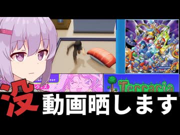 動画投稿者あるある「動画化するはずだったmp4ファイルの残骸達」