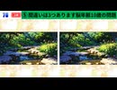 【！脳トレ+育脳に最適☆まちがい探しタイム！ 】＃290