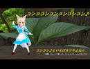 ユノアさんで『コンココンコンココンコンコン』