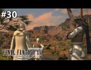 ドライボーンの誘拐事件【FF14新生エオルゼアのんびり実況】#30
